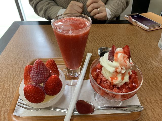 ���X�X���̂������Â���_���ꒃ��