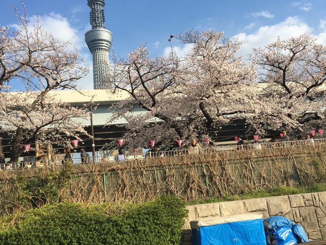 ���ƃX�J�C�c���[_�ݐؐ��A�j�o�[�T���[�N���[�Y