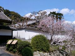 ̂˖т̖{̍ւ̓eʐ^1