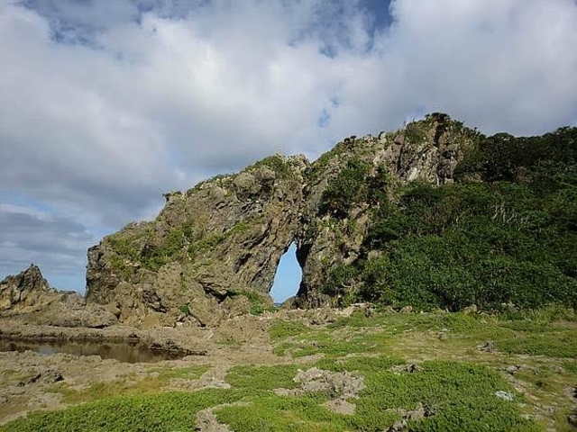 �p���[�X�|�b�g_�~�[�t�K�[