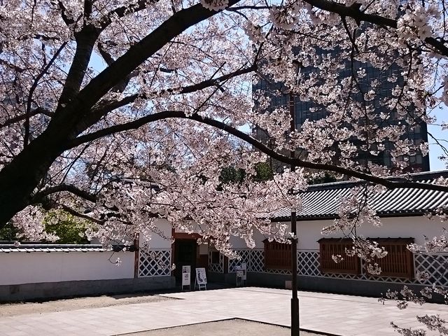 �뉀�����̍�_���q��뉀