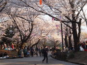 shig̔򒹎R̍̓eʐ^2