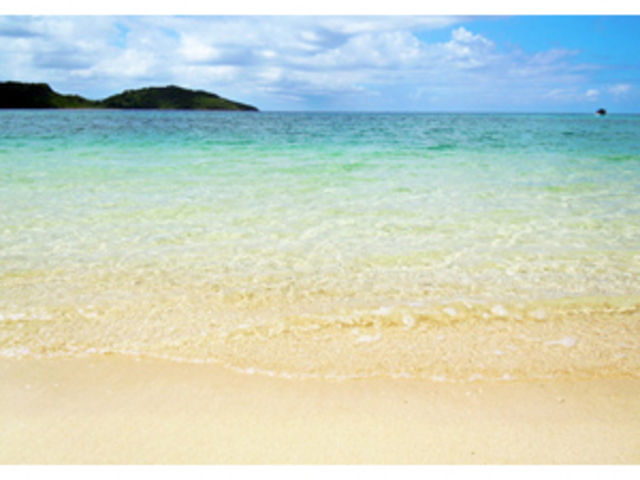 ���j�J�C�r�[�`�݂���_�C�_�̕l