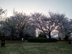 A_[̗Ս`p[Nւ̓eʐ^1