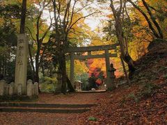JOEさんの諏訪神社（鳥取県智頭町）の投稿写真1