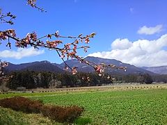 ЂȂςς̓̉w ̍΂ւ̓eʐ^1