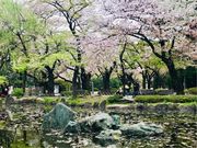 �߂̂�����̖����_�Ђ̍��̓��e�ʐ^3