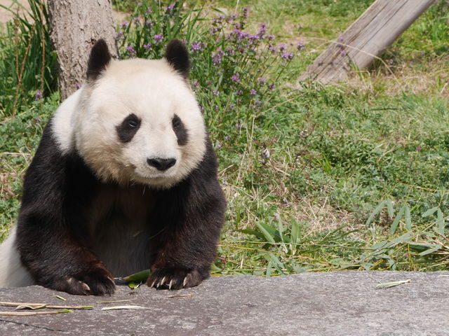 _ˎsq̃p___ˎsq p_vU