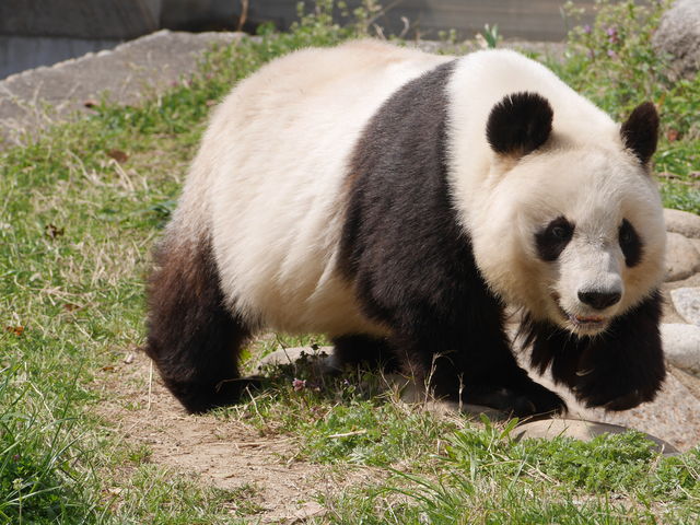 _ˎsq̃p___ˎsq p_vU