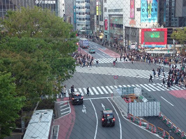 f̐MɂȂƂ܂lŖߐs__aJwOXNu_