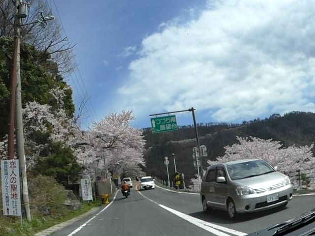 �����i�΃p�[�N�E�F�C_�����i�΃p�[�N�E�F�C