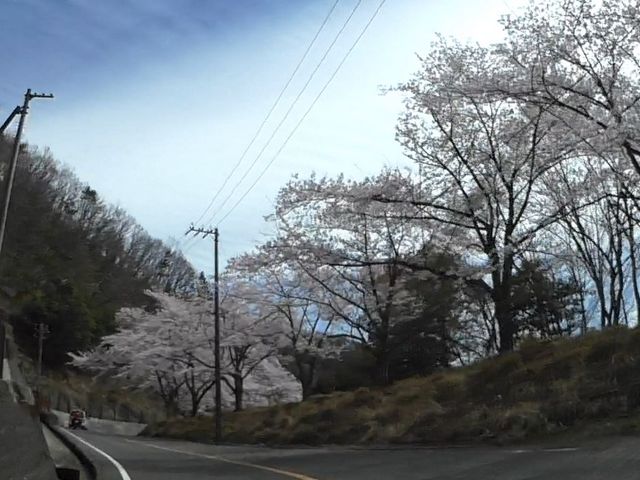 �����i�΃p�[�N�E�F�C_�����i�΃p�[�N�E�F�C