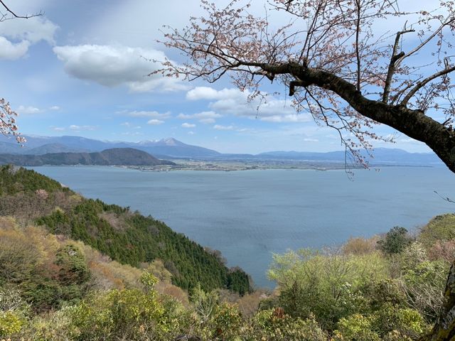 �����i�΃p�[�N�E�F�C���ԏꂩ��̒���_�����i�΃p�[�N�E�F�C