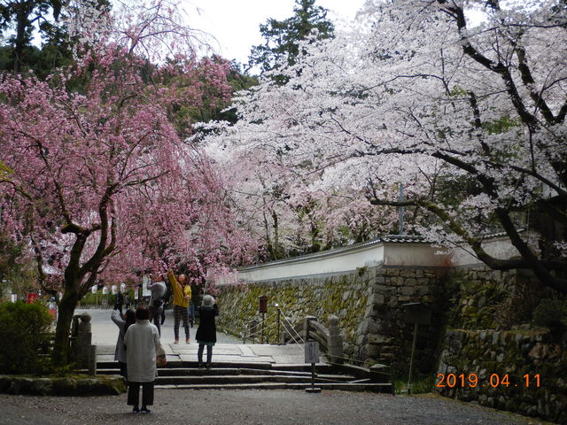 �����O�̓�����_�O�䎛�̍�