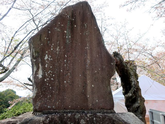 �����̂�������̔���ďM�̉̔�̓��e�ʐ^1