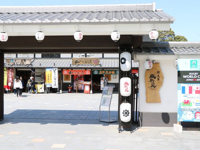 E102̈h R F{̔n ʉ̓eʐ^1