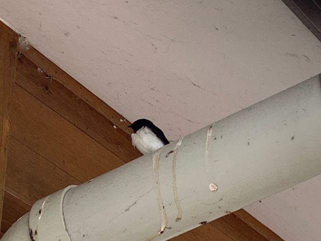 �΂߂̂��܂����B_���̉w �����̗����ǂ���