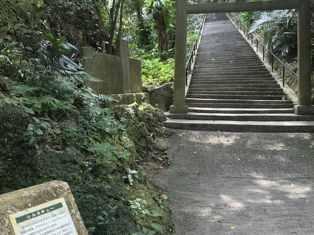 シルミチューの鳥居_シルミチュー