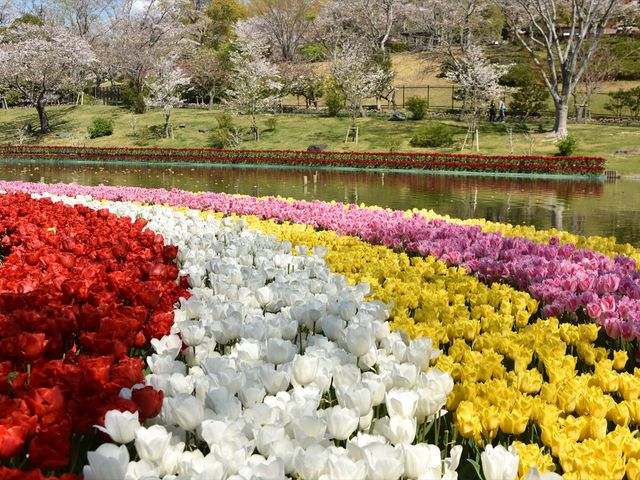 �ԁE���E���F_�͂܂܂t�����[�p�[�N