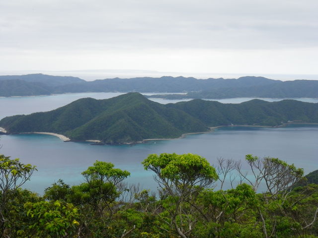 ỶQrW^[Z^[@Rώ@̐X̓eʐ^2