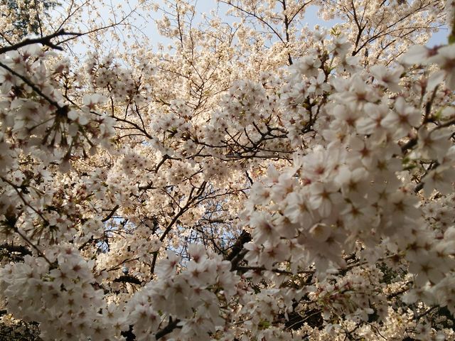 ���̃h�A�b�v!!    �z�����܂ꂻ���c�B_�~������