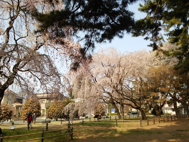 ��������c�Y��ł�����_�~������