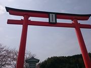 ���񂿂�񂳂�̐�X��א_�Ђ̓��e�ʐ^1