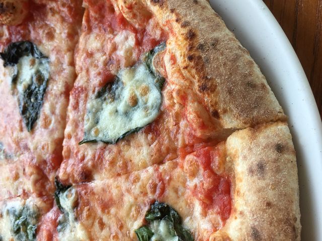 }Q[^_CASTELMOLA Hide Yamato