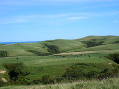 񂳂̏@Ju˂ւ̓eʐ^2