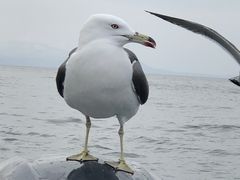 ̏M̓AN[Yւ̓eʐ^3