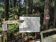 1962̐EYFÓ@׍⓻̓eʐ^2