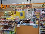 L̂Ȃ䂭sꂨȂ̉wi[_Y̔Z^[j̓eʐ^2