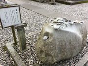 poporon̍Ō莛@΂̓eʐ^1