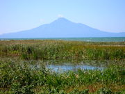 񂳂̕lEmW]xe{݂̓eʐ^1