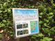 poporonさんの室戸岬亜熱帯性樹林及び海岸植物群落の投稿写真1