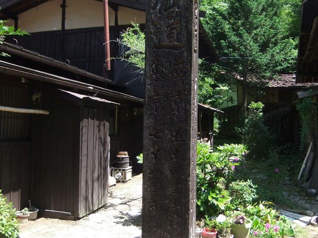 �̂̓��W_���R���i���쌧�ؑ]���j