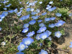 panchan̑܂܃V[TChp[Nւ̓eʐ^1