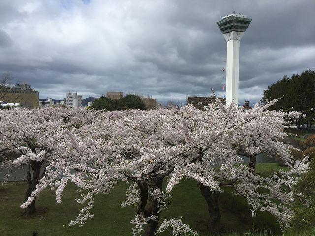 ���������ł���_�ܗŊs����