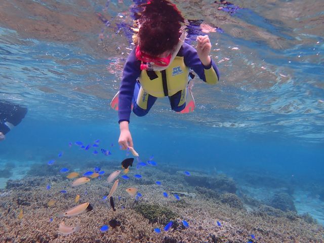 �Y��ŉ����������񂪑�R�I�I_�V���m�[�P�����{�@�I�L�i��