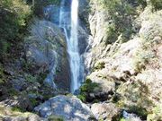 ÐhF̂񂾂񍌂̑̓eʐ^4