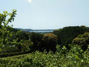 ��������񂳂�̒��y���i�É����l���s�j�̓��e�ʐ^7