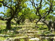 񂳂̒yiÉlsj̓eʐ^9