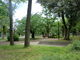 kokoさんの錦糸公園の投稿写真1