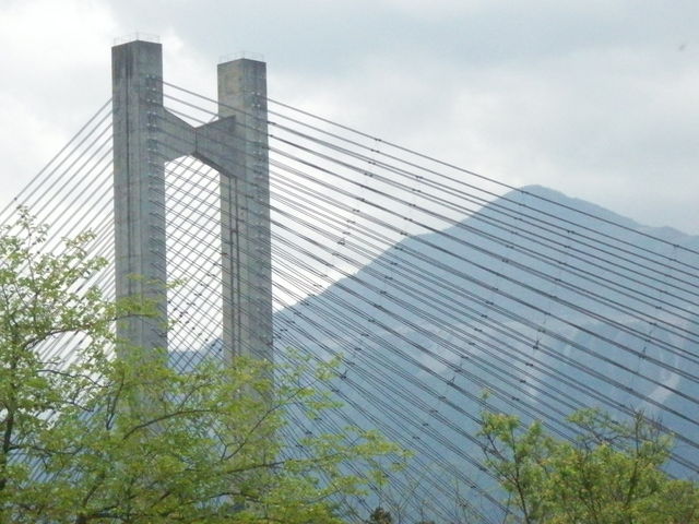 ���b�R��_�����������i�����n�[�v���j