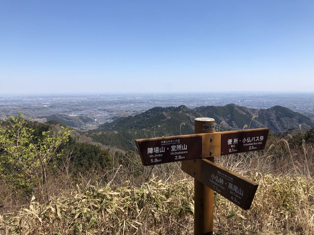 �R���ł�_�i�M�R