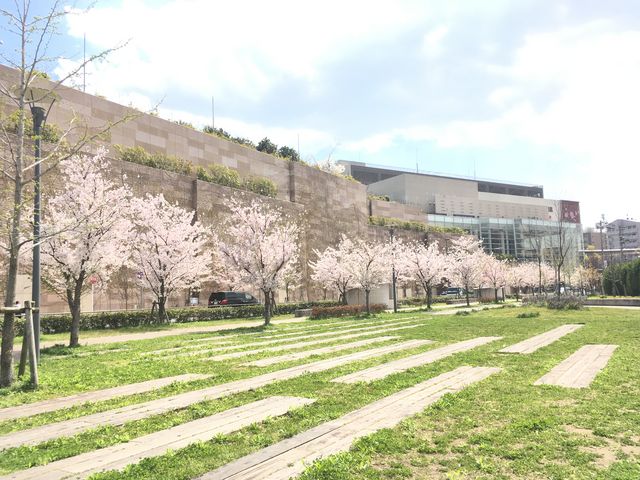 �K�[�f���Y���̌����ł��ٓ���H�ׂĂ������Ǝv���܂�_��}���{�K�[�f���Y