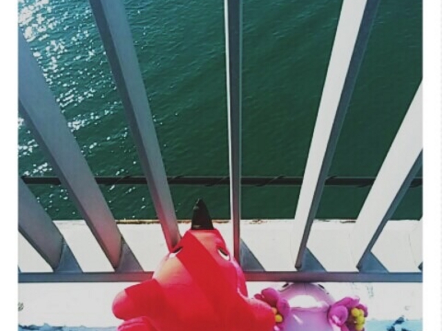 ���ʂ���͍����ł�_���̓��勴