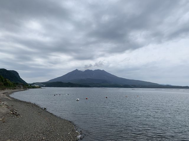 ̉w݂ق̗猩iF_̉w݂