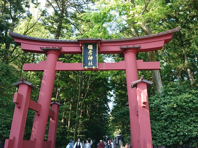 ��F�_��_�\�F�_��