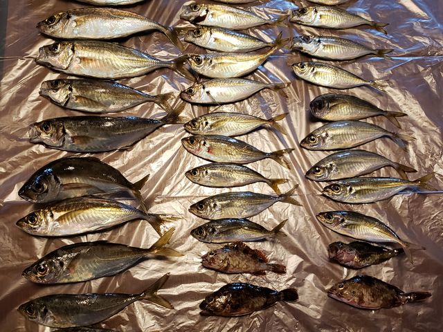 ��������ނ�܂���_�H�c�ޑD�`����